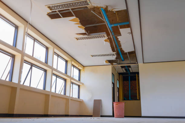 Best Flood restoration services  in Youngstown, OH
