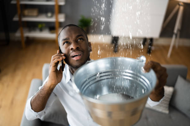Best Water damage cleanup near me  in Youngstown, OH