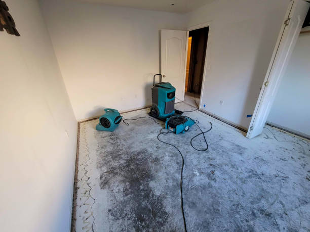 Best Mold removal after water damage  in Youngstown, OH