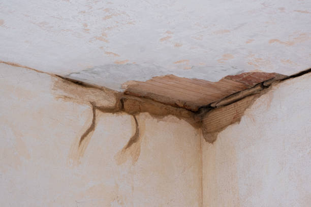 Best Water damage mitigation services  in Youngstown, OH