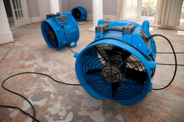 Best Fire Damage Restoration  in Youngstown, OH