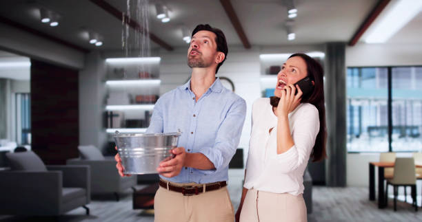 Best Mold removal after water damage  in Youngstown, OH