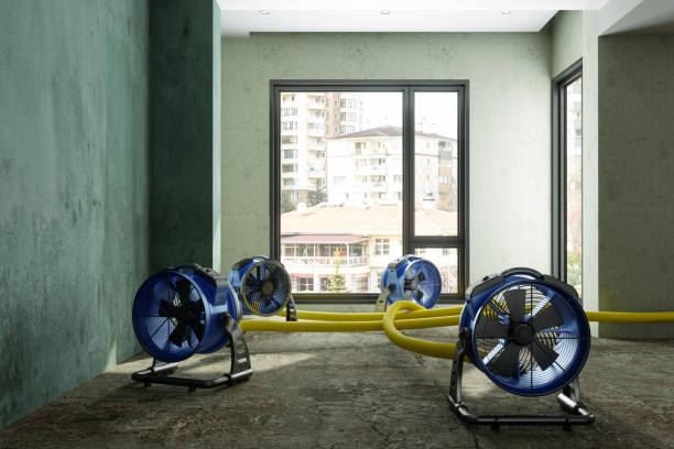 Professional Water damage restoration in Youngstown, OH