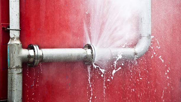 Best Sewage cleanup and water damage restoration  in Youngstown, OH